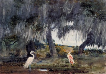 En Tampa Winslow Homer acuarela Pinturas al óleo
